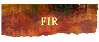 FIR